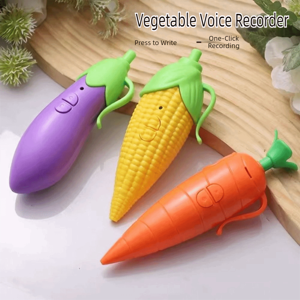 Caneta Gravadora de Voz Divert - Voice Recorder Pen avaliação e preço